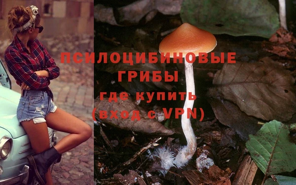 ALPHA PVP Киреевск