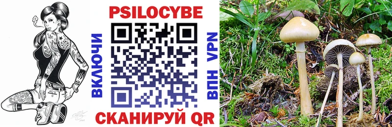 Псилоцибиновые грибы прущие грибы  Купить закладки  Арск 